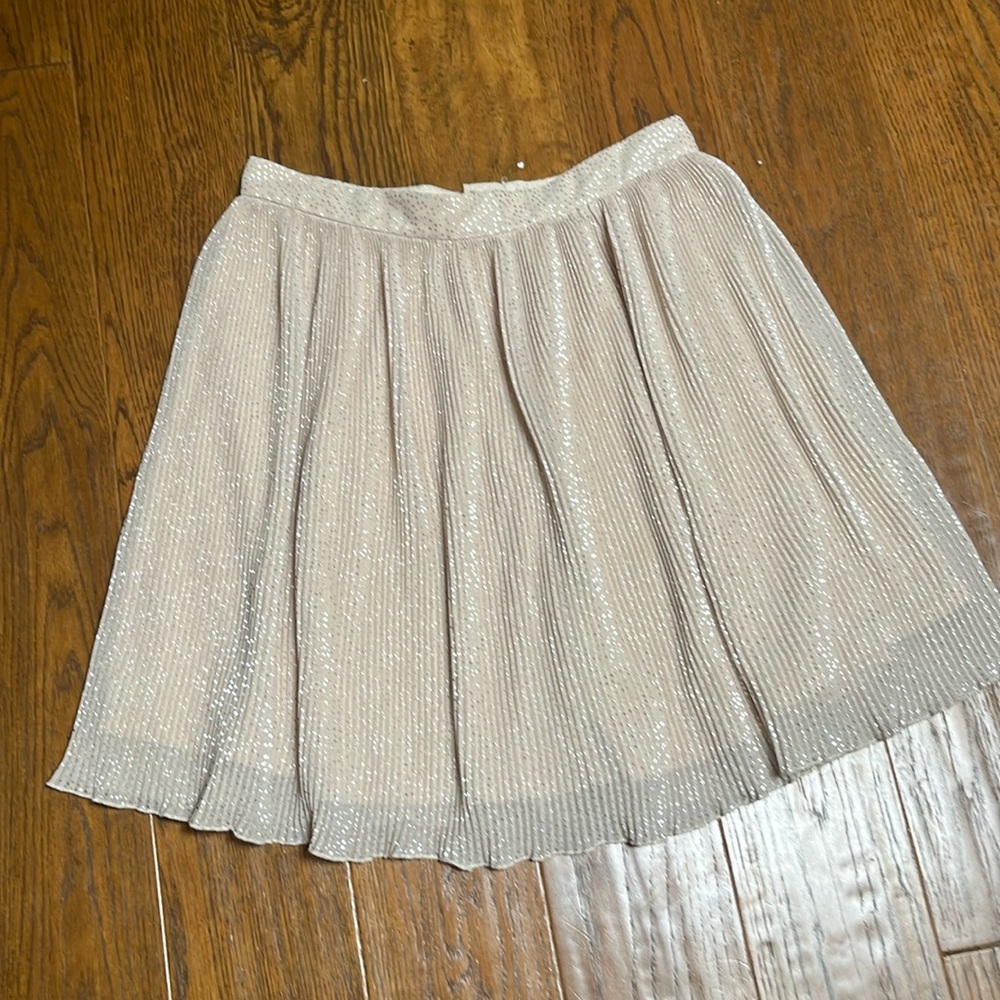 H&M Sparkling Champagne‎ Pleated A-Line Skirt
